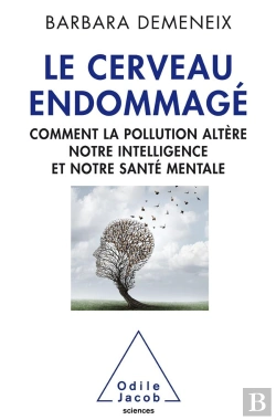 Bertrand.pt - Le Cerveau Endommagé