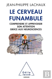 Le Cerveau Funambule