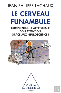 Bertrand.pt - Le Cerveau Funambule