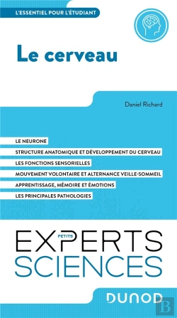 Bertrand.pt - Le Cerveau : L'Essentiel À Savoir