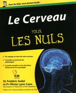 Bertrand.pt - Le Cerveau Pour Les Nuls