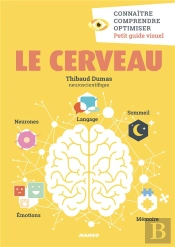 Le Cerveau