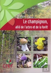 Le Champignon, Allié De L'Arbre Et De La Forêt