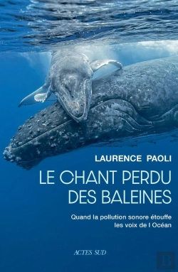 Bertrand.pt - Le Chant Perdu Des Baleines : Quand La Pollution Sonore Étouffe Les Voix De L'Océan