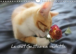 Bertrand.pt - Le Chat Gaston En Vedette Calendrier Mural 2018 Din A4 Horizontal