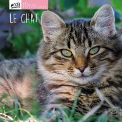 Bertrand.pt - Le Chat