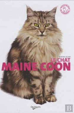 Bertrand.pt - Le Chat Maine Coon