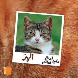 Bertrand.pt - Le Chat