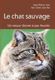 Le Chat Sauvage, Un Retour Discret À Pas Feutrés