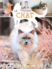Le Chat