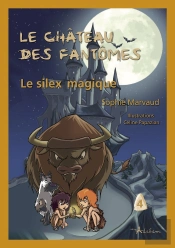 Le Château Des Fantômes Tome 4 ; Le Silex Magique
