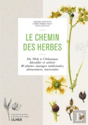 Le Chemin Des Herbes ; Du Midi À L'Atlantique, Identifier Et Utiliser 80 Plantes Sauvages Médicinales, Alimentaires, Tinctoriales