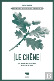Le Chêne : Un Arbre Majestueux Et Oraculaire