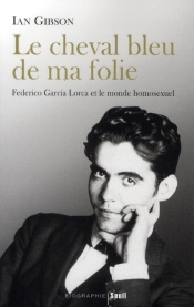 Le Cheval Bleu De Ma Folie ; Federico Garcia Lorca Et Le Monde Homosexuel