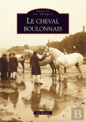 Le Cheval Boulonnais