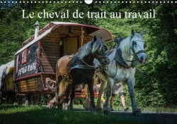 Bertrand.pt - Le Cheval De Trait Au Travail Calendrier Mural 2018 Din A3 Horizontal