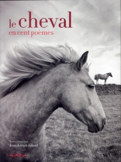 Bertrand.pt - Le Cheval En Cent Poemes