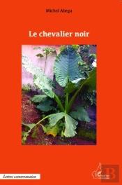 Le Chevalier Noir