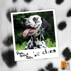 Bertrand.pt - Le Chien