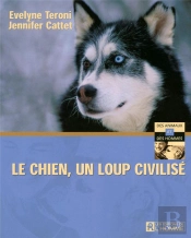 Le Chien, Un Loup Civilisé