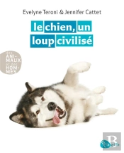 Le Chien  Un Loup Civilise Ne