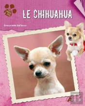 Le Chihuahua