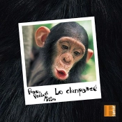 Le Chimpanze