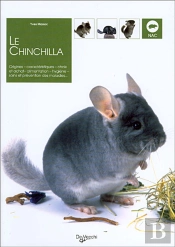 Le Chinchilla