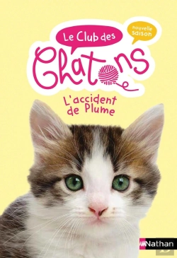 Bertrand.pt - Le Club Des Chaton : L'Accident De Plume - Vol10
