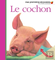 Le Cochon