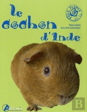 Le Cochon D'Inde