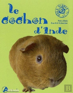 Bertrand.pt - Le Cochon D'Inde