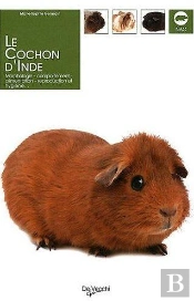 Le Cochon D'Inde