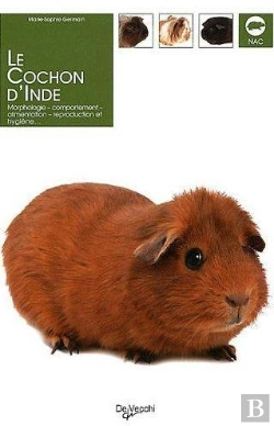 Bertrand.pt - Le Cochon D'Inde