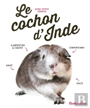Le Cochon D'Inde