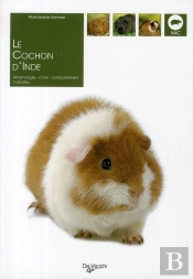 Le Cochon D'Inde