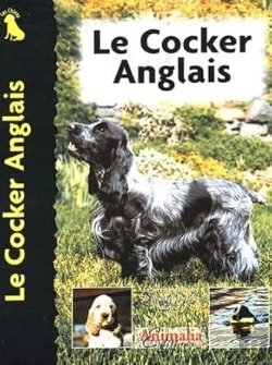 Bertrand.pt - Le Cocker Anglais