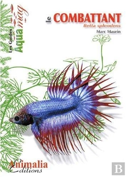 Bertrand.pt - Le Combattant ; Betta Splendens