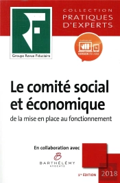 Le Comite Social Et Economique