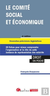 Le Comité Social Et Économique (Cse) : Nouvelles Précisions Législatives : 20 Fiches Pour Mieux Comprendre L'Organisation Et Le Rôle De Cette Instance De Représentation Des Salariés (4e Édition)