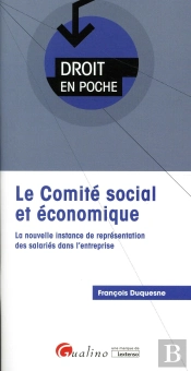 Le Comite Social Et Economique