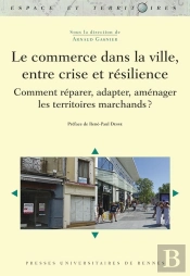 Le Commerce Dans La Ville, Entre Crise Et Résilience ; Comment Réparer, Adapter, Aménager Les Territoies Marchands ?
