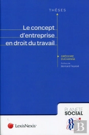 Le Concept D'Entreprise En Droit Du Travail