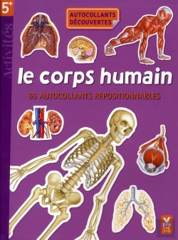 Bertrand.pt - Le Corps Humain ; 65 Autocollants Repositionnables