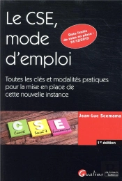 Le Cse, Mode D Emploi ; Clés Et Modalités Pratiques Permettant La Constitution De La Nouvelle Instance