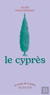Le Cyprès
