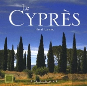 Le Cyprès