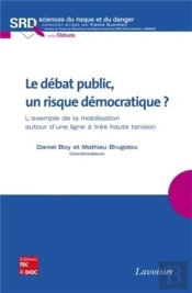 Le Débat Public, Un Risque Démocratique ? L'Exemple De La Mobilisation Autour D'Une Ligne À Très Haute Tension