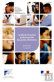 Le Défi De L'Insertion Professionnelle Et Sociale Des Jeunes Ultramarins