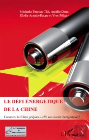 Le Défi Énergétique De La Chine ; Comment La Chine Prépare-T-Elle Son Avenir Énergétique ?